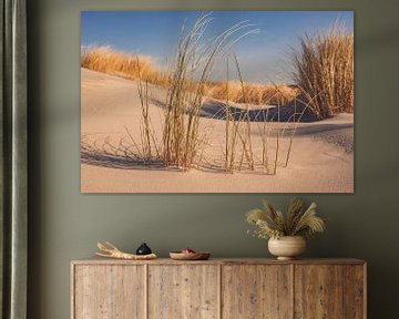 Strand op het eiland Schiermonnikoog in de Waddenzee