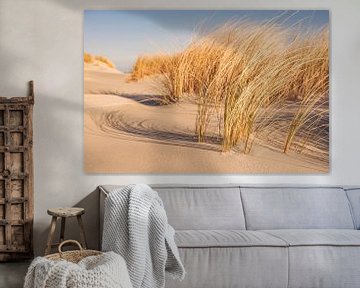 Strand op het eiland Schiermonnikoog in de Waddenzee van Sjoerd van der Wal Fotografie