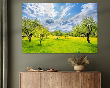 Frühlingshafter Obstgarten in den Alpen in Slowenien von Sjoerd van der Wal Fotografie