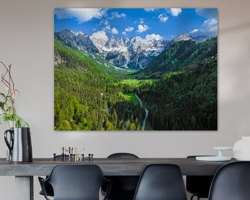 Vue aérienne de la vallée de Zgornje Jezersko au printemps sur Sjoerd van der Wal Photographie