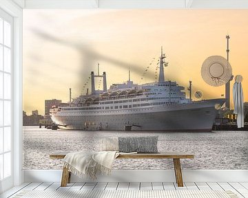 The cruise ship ss Rotterdam in Rotterdam during a stunning sunset by MS Fotografie | Marc van der Stelt