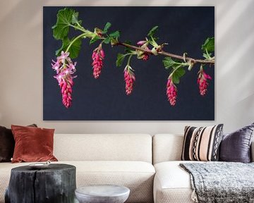 Ribes hangende kleine bloemen trosjes van Jolanda de Jong-Jansen