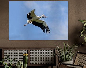 Ein Storch mit Nestmaterial van Teresa Bauer