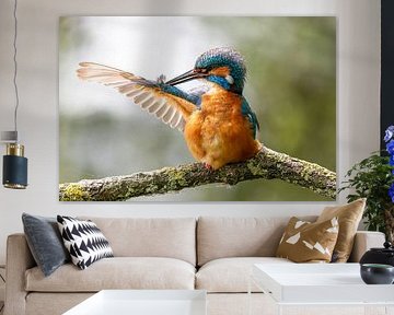 Rituel du matin sur Brigitte Mulders