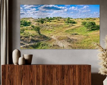 Dunes along the Dutch coast by eric van der eijk