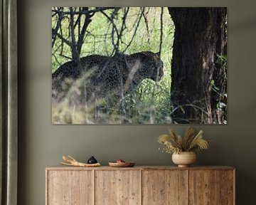 Mannelijk luipaard in Kruger, Zuid-Afrika van Vincent Dekker