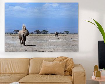 Olifanten voor de Kilimanjaro by Vincent Dekker