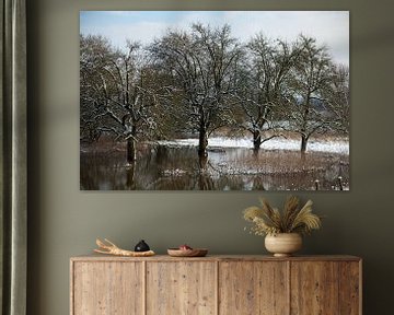 wilde appelbomen in de winter von Ralph Jongejan