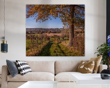 Couleurs d'automne près d'Epen, dans les collines du Limbourg du Sud sur John Kreukniet