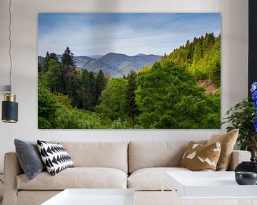 Black Forest - Panorama by Ursula Di Chito