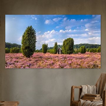 Bienenhäuschen in der blühenden Heide