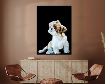 Shih tzu vector van IHSANUDDIN .