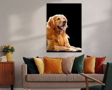 Golden retriever vector van IHSANUDDIN .