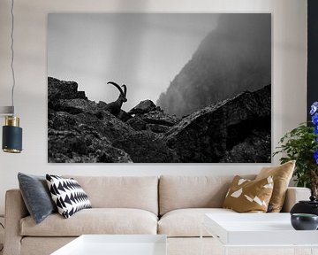 Steenbok in de Zwitserse Alpen van Luc Hoogenstein