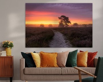 Purple Heath Sunrise Drunense Dunes by Zwoele Plaatjes