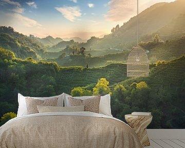 The Prosecco Hills incredible landscape. Italy by Stefano Orazzini