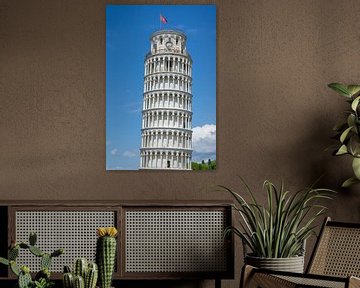 Schiefer Turm Von Pisa van Animaflora PicsStock