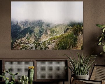 Foggy views of Mount Madeira by Dian Schuurkamp