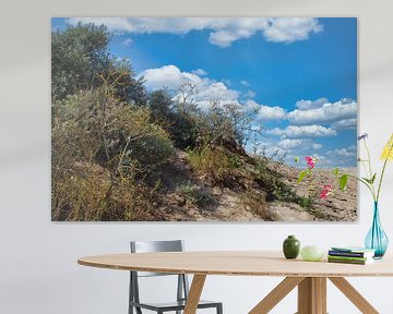 De duinen aan de Nederlandse kust sur Jolanda de Jong-Jansen