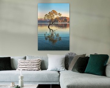 New Zealand Wanaka Tree by Jean Claude Castor