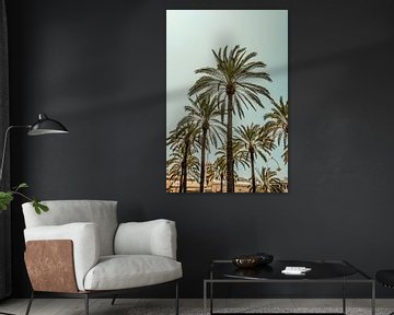 Palmbomen in Genua van Lima Fotografie