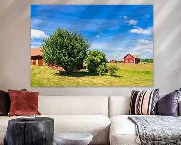 Red wooden houses and trees on the island of Sladö in Sweden by Rico Ködder