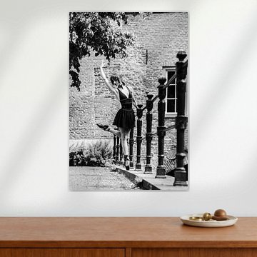 Ballerina in Den Bosch