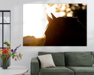 Fries paard in zonsondergang sur Sabine Timman