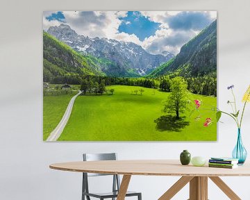 Das Logar-Tal in den Kamniker Savinja-Alpen in Slowenien im Frühling von Sjoerd van der Wal Fotografie