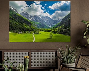 Logar Valley in de Kamnik Savinja Alpen in Slovenië tijdens de lente van Sjoerd van der Wal Fotografie