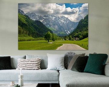 Logar Valley in de Kamnik Savinja Alpen in Slovenië tijdens de lente van Sjoerd van der Wal Fotografie