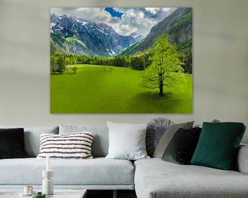 Vallée de Logar dans les Alpes de Kamnik Savinja en Slovénie au printemps sur Sjoerd van der Wal Photographie