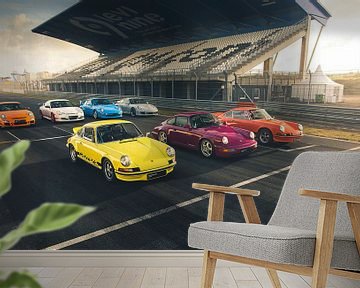 Generaties van de Porsche 911 van Thijs Oorschot