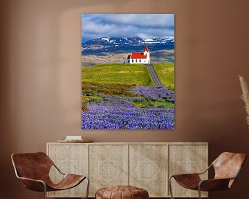 Église islandaise avec lupins sur Adelheid Smitt