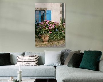 Hortensia's in Bretagne | Blauw raam | Frankrijk reisfotografie van HelloHappylife