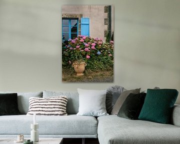 Hortensia Bretagne van HelloHappylife