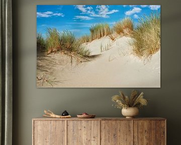 Île des Wadden Texel avec sable et dunes sur eric van der eijk