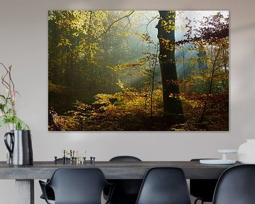 Herfst in het bos by Michel van Kooten