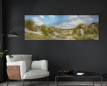 Dune in De Slufter nature reserve on Texel