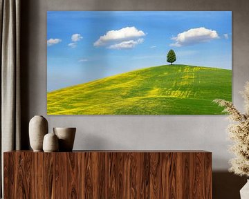 Un arbre sur une colline en Toscane sur Tilo Grellmann