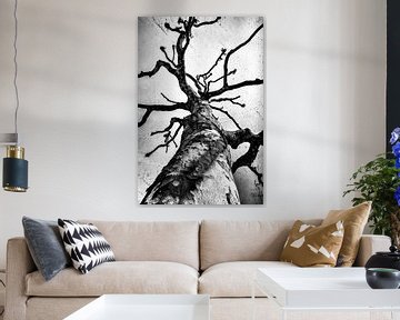 Arbre l sur Annemiek van Eeden