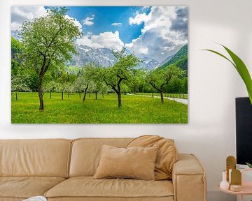 Orchard with fruit trees during spring in the Alps by Sjoerd van der Wal Photography