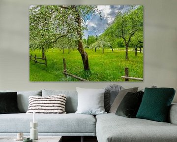 Boomgaard met fruitbomen in de lente in de Alpen van Sjoerd van der Wal Fotografie