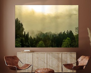 Clouds over the forest in the Alps by Sjoerd van der Wal Photography