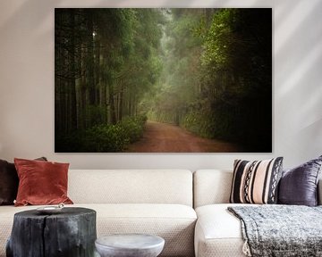 Waldweg von Pieter  Debie
