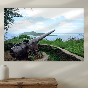 Poo Poo Uri Roa cannons sur Frank's Awesome Travels