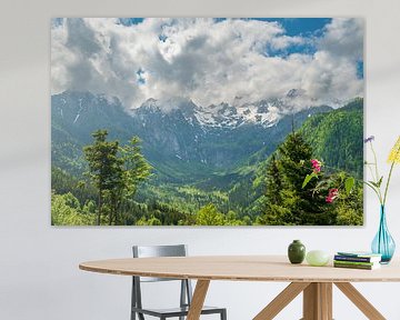 Vellacher Kotschna-vallei in de Kamnik Savinja Alpen in Oostenrijk