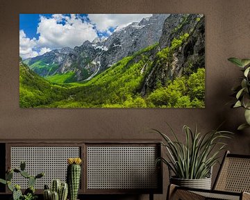 Logar-Tal in den Kamniker Savinja-Alpen in Slowenien im Frühling