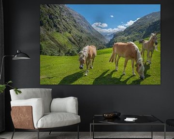 Haflinger paarden in het Venter Tal in de Tiroler Alpen in Oostenrijk van Sjoerd van der Wal Fotografie