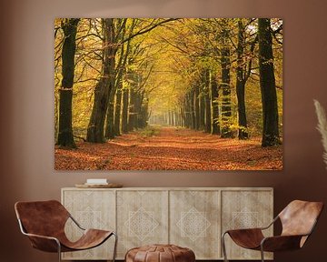 Autumn in an avenue by Sander van der Werf